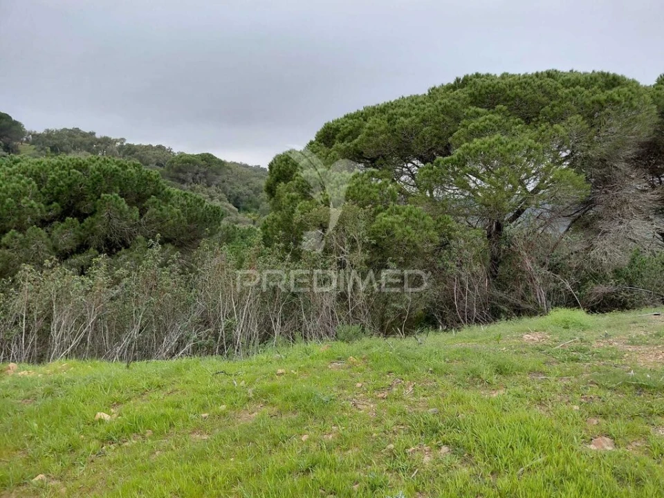 Terreno para Venda em São Francisco da Serra Foto 1
