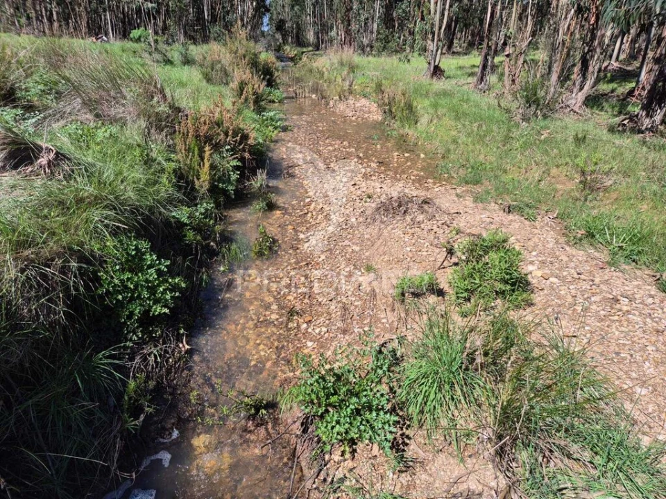 Terreno para Venda em São Domingos e Vale de Água Foto 4
