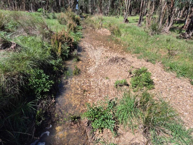 Terreno para Venda em São Domingos e Vale de Água Foto 4