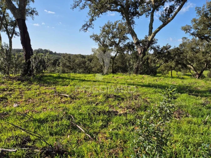 Terreno para Venda em São Domingos e Vale de Água Foto 12