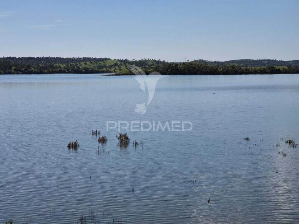 Terreno para Venda em São Domingos e Vale de Água Foto 3