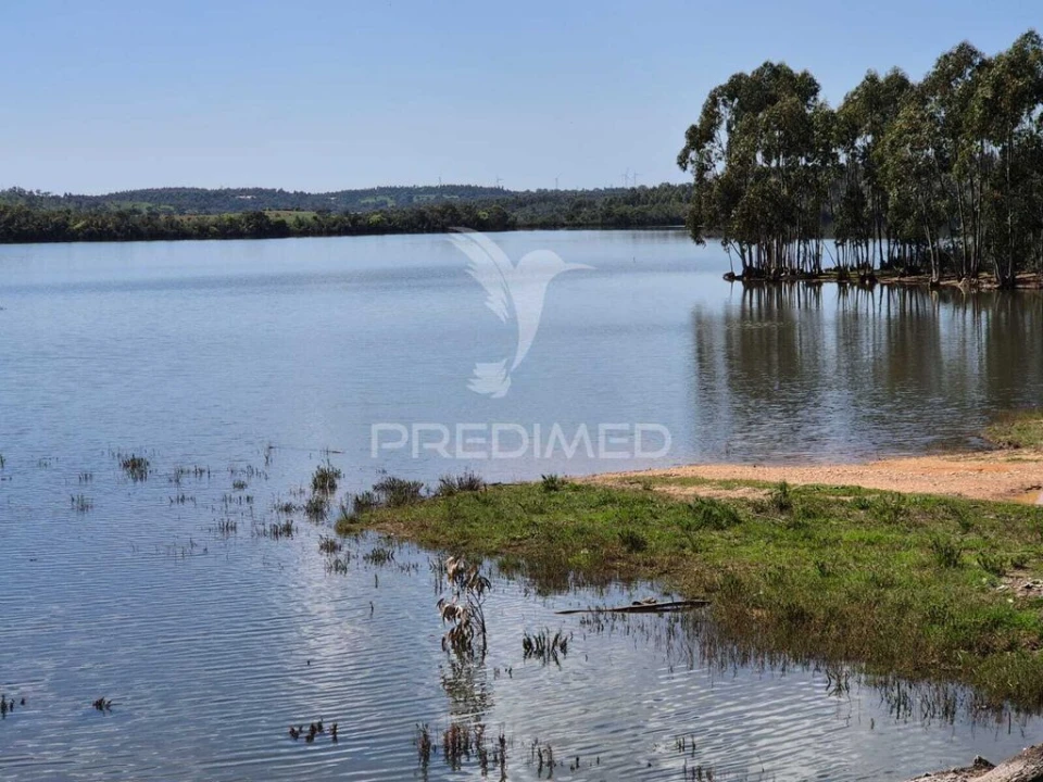 Terreno para Venda em São Domingos e Vale de Água Foto 1