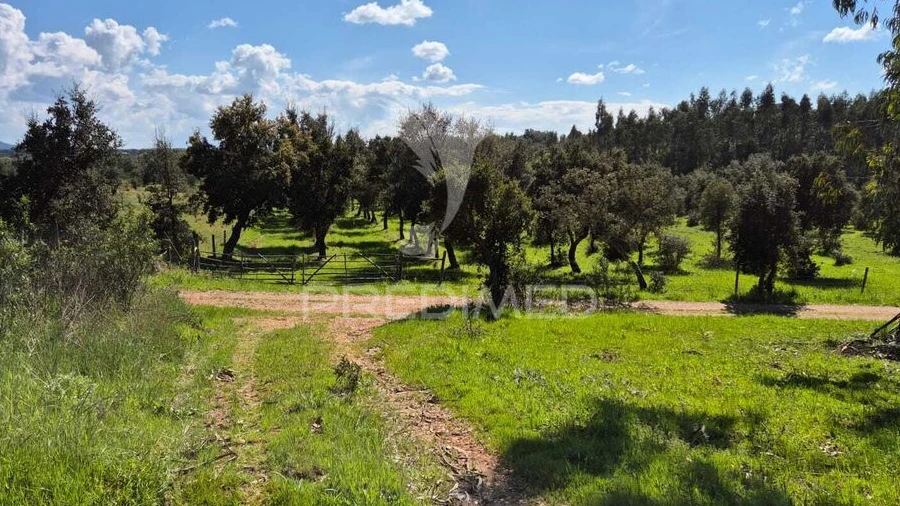 Terreno para Venda em São Domingos e Vale de Água
