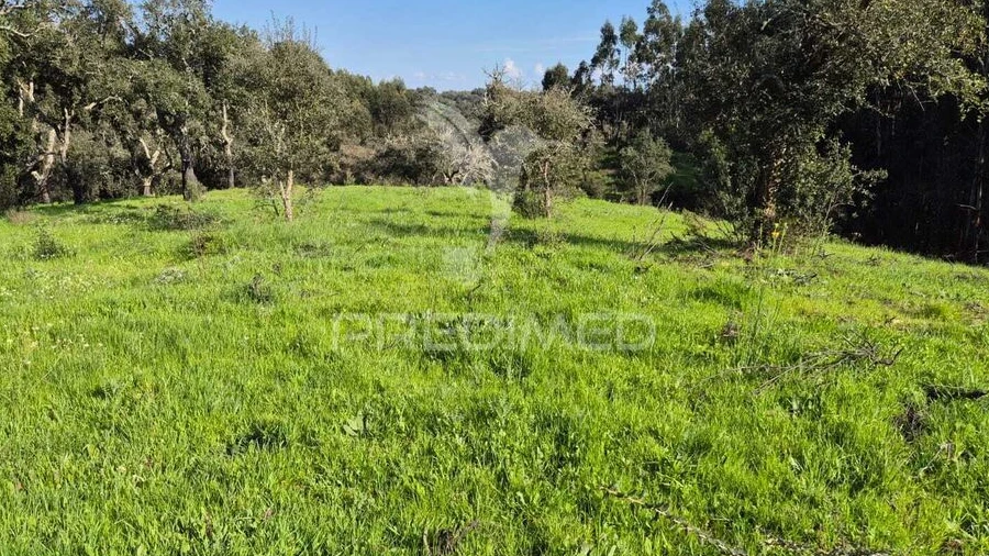 Terreno para Venda em São Domingos e Vale de Água