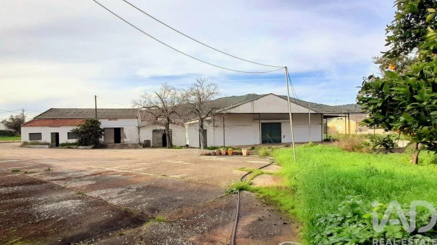 Armazém para Arrendamento em Barbacena e Vila Fernando Foto 5