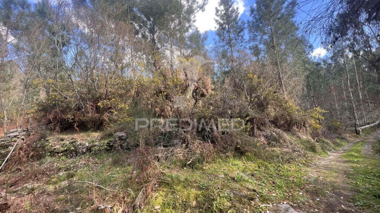 Terreno para Venda em Vilela, São Cosme e São Damião e Sá Foto 8