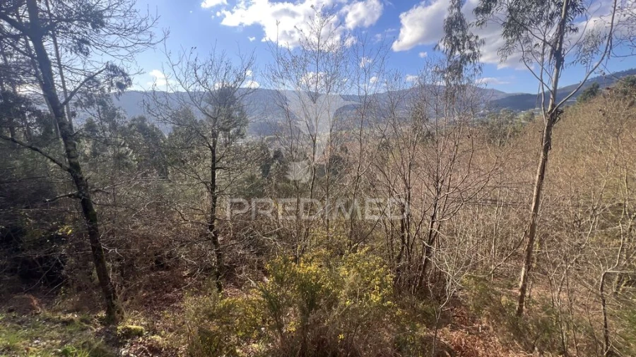 Terreno para Venda em Vilela, São Cosme e São Damião e Sá Foto 13