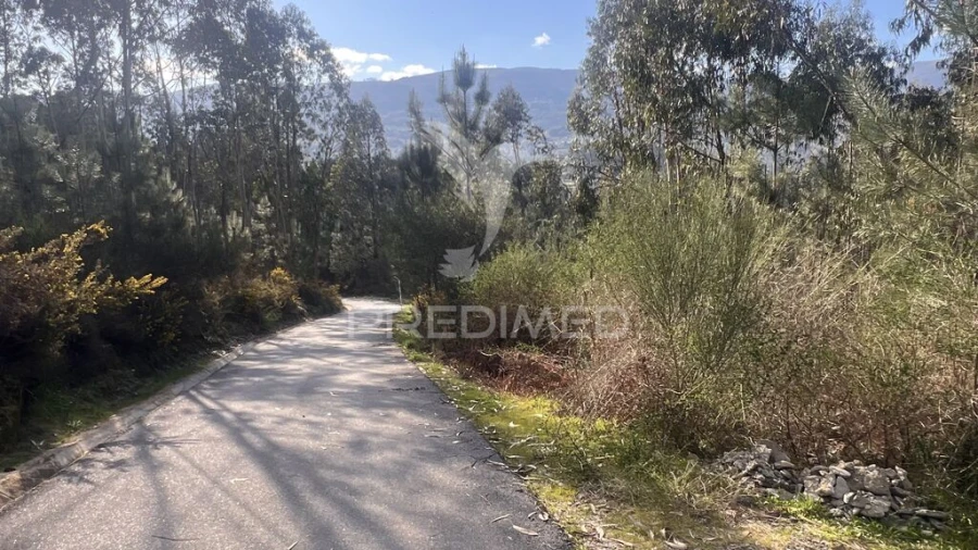 Terreno para Venda em Vilela, São Cosme e São Damião e Sá Foto 2