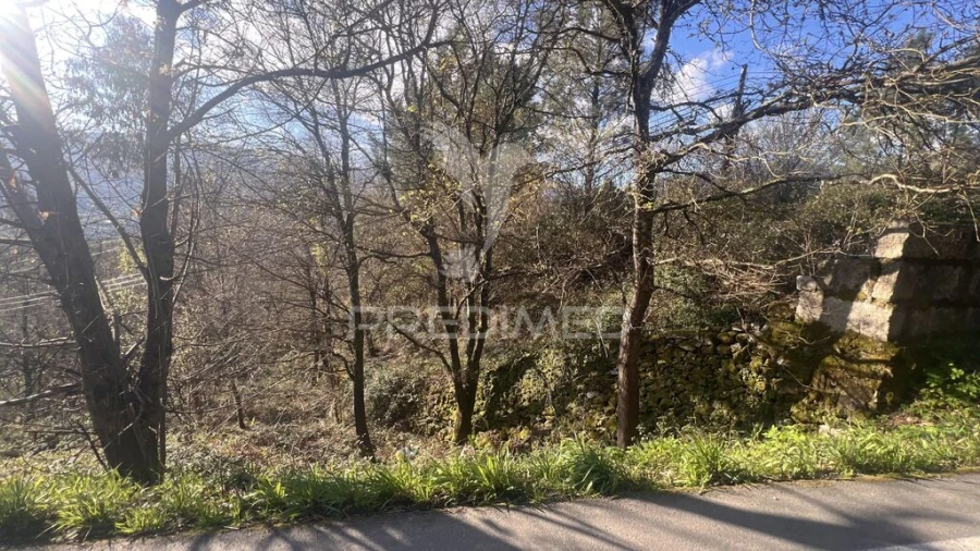 Terreno para Venda em Vilela, São Cosme e São Damião e Sá Foto 10