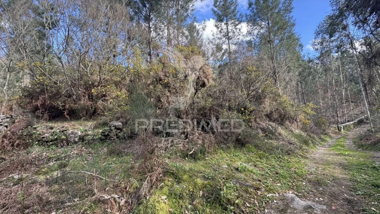 Terreno para Venda em Vilela, São Cosme e São Damião e Sá Foto 5