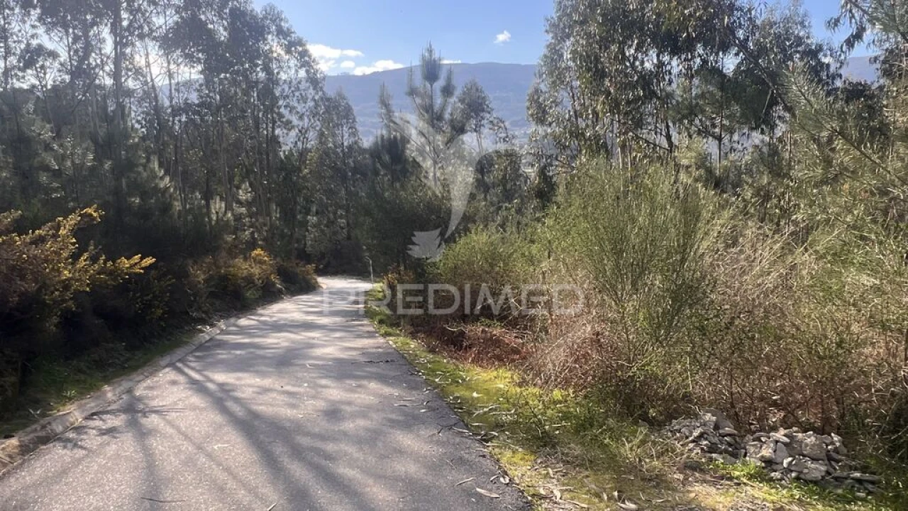 Terreno para Venda em Vilela, São Cosme e São Damião e Sá Foto 2