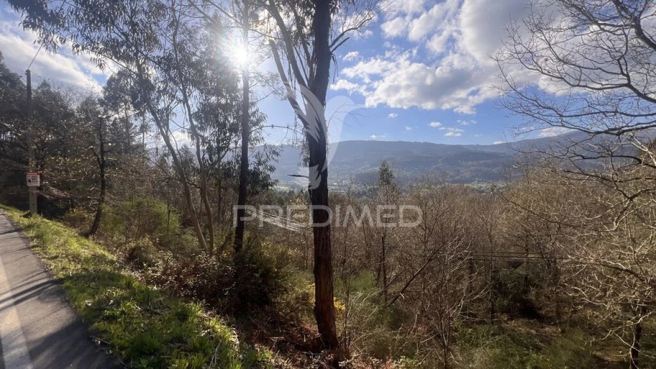 Terreno para Venda em Vilela, São Cosme e São Damião e Sá Foto 1