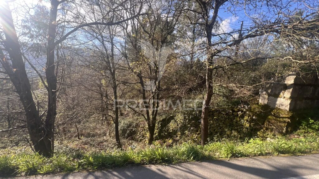 Terreno para Venda em Vilela, São Cosme e São Damião e Sá Foto 10