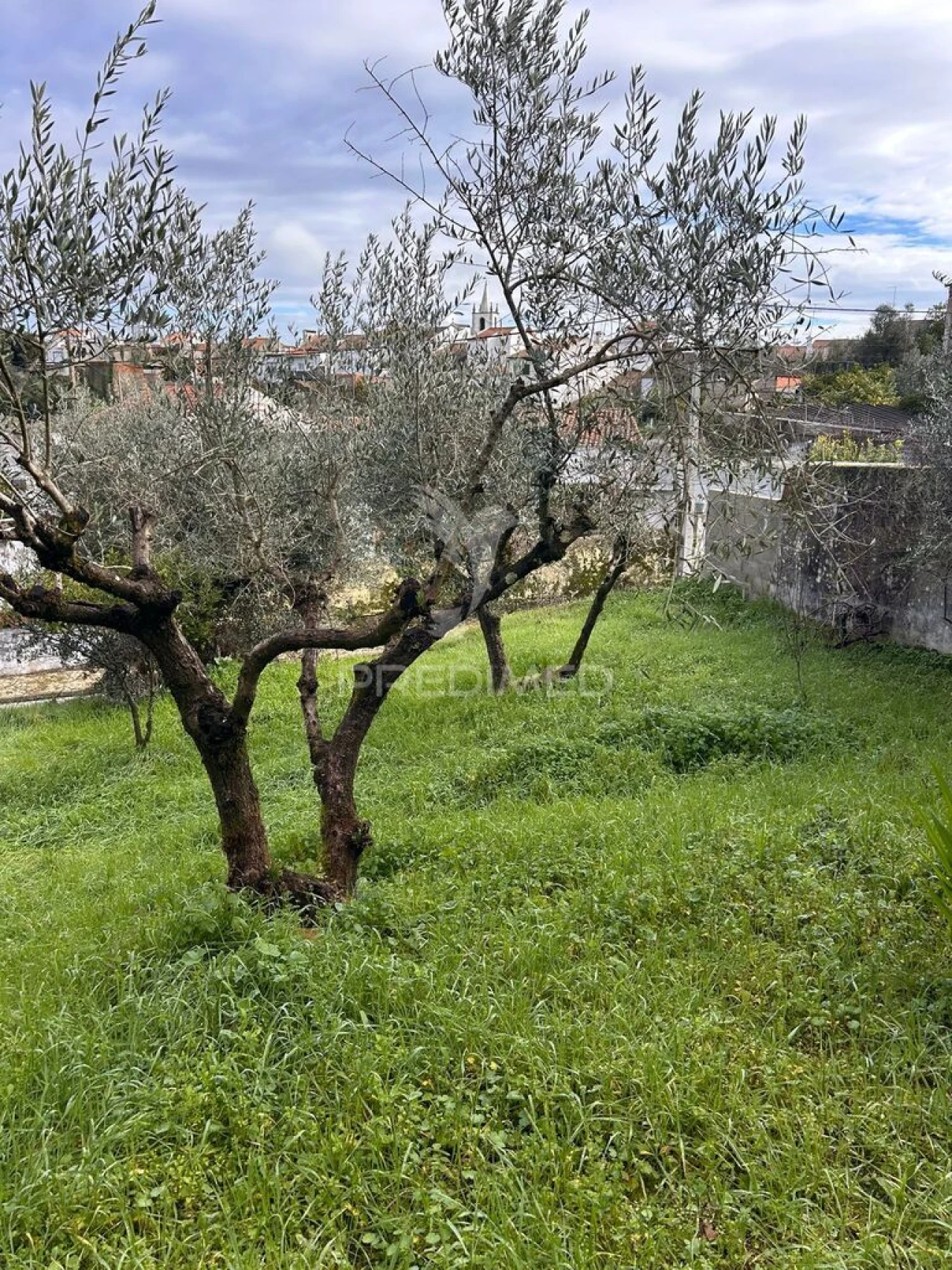 Moradia T4 para Venda em Tolosa Foto 7