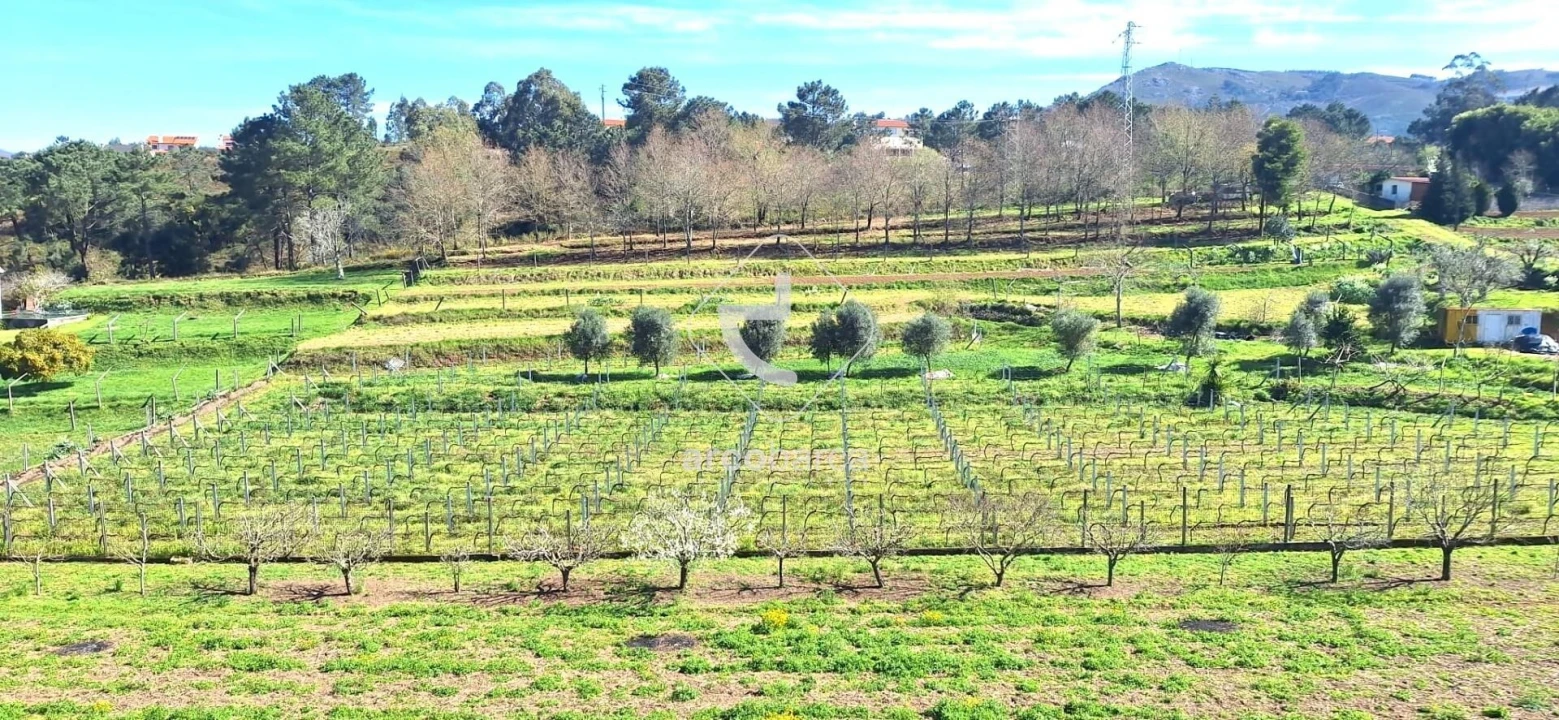 Moradia T4 para Venda em Arca e Ponte de Lima Foto 27