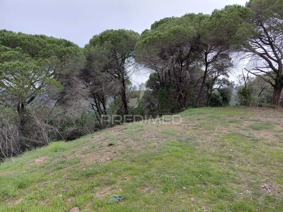 Quinta T2 para Venda em São Francisco da Serra Foto 10