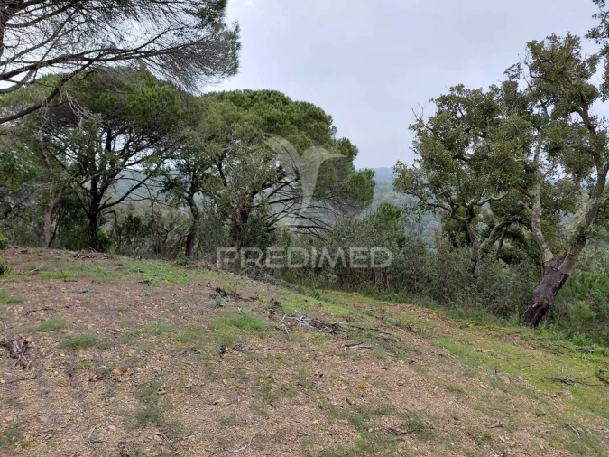 Quinta T2 para Venda em São Francisco da Serra Foto 18