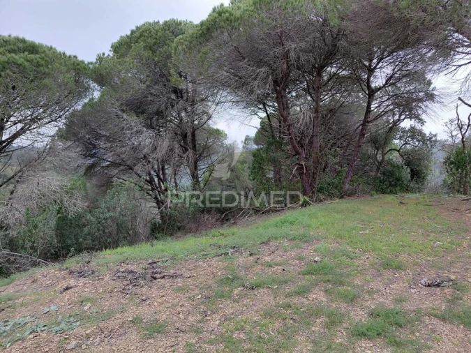 Quinta T2 para Venda em São Francisco da Serra Foto 5