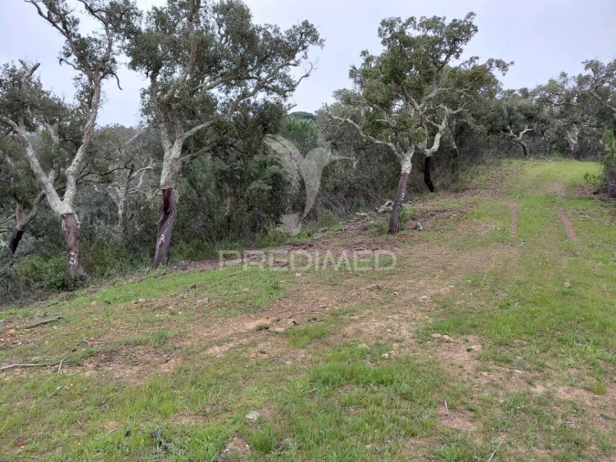 Quinta T2 para Venda em São Francisco da Serra Foto 12