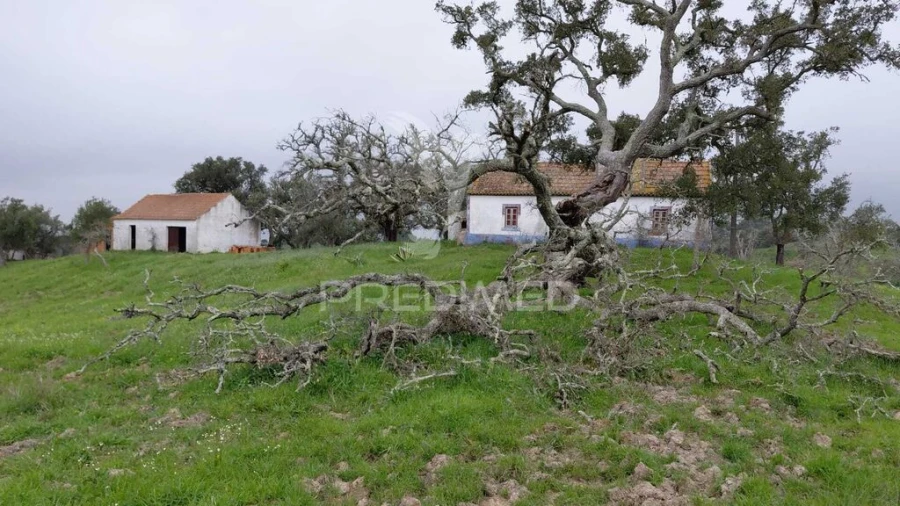 Quinta T2 para Venda em São Francisco da Serra Foto 19