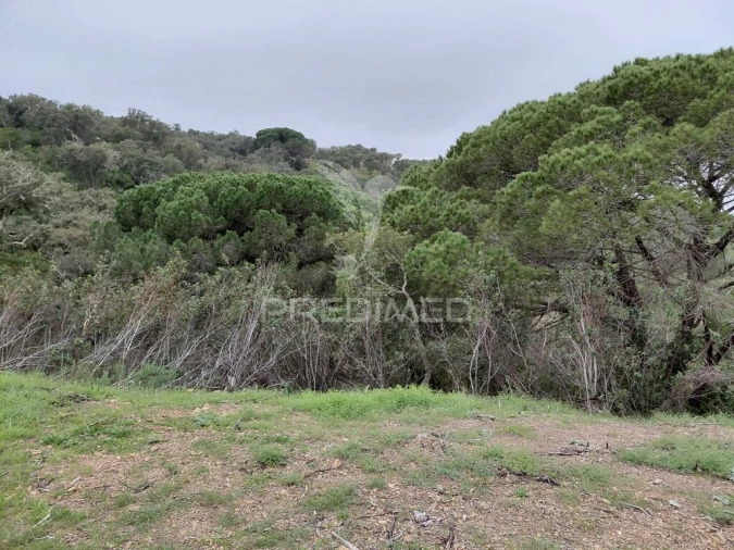Quinta T2 para Venda em São Francisco da Serra Foto 16