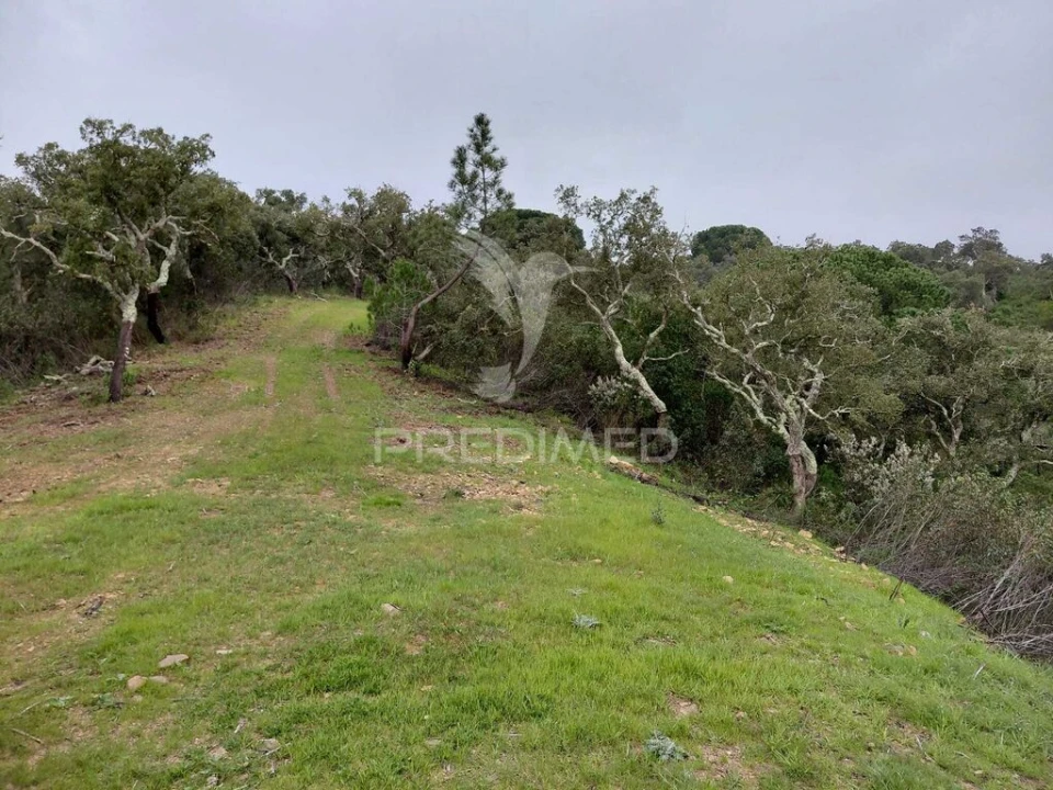 Quinta T2 para Venda em São Francisco da Serra Foto 13