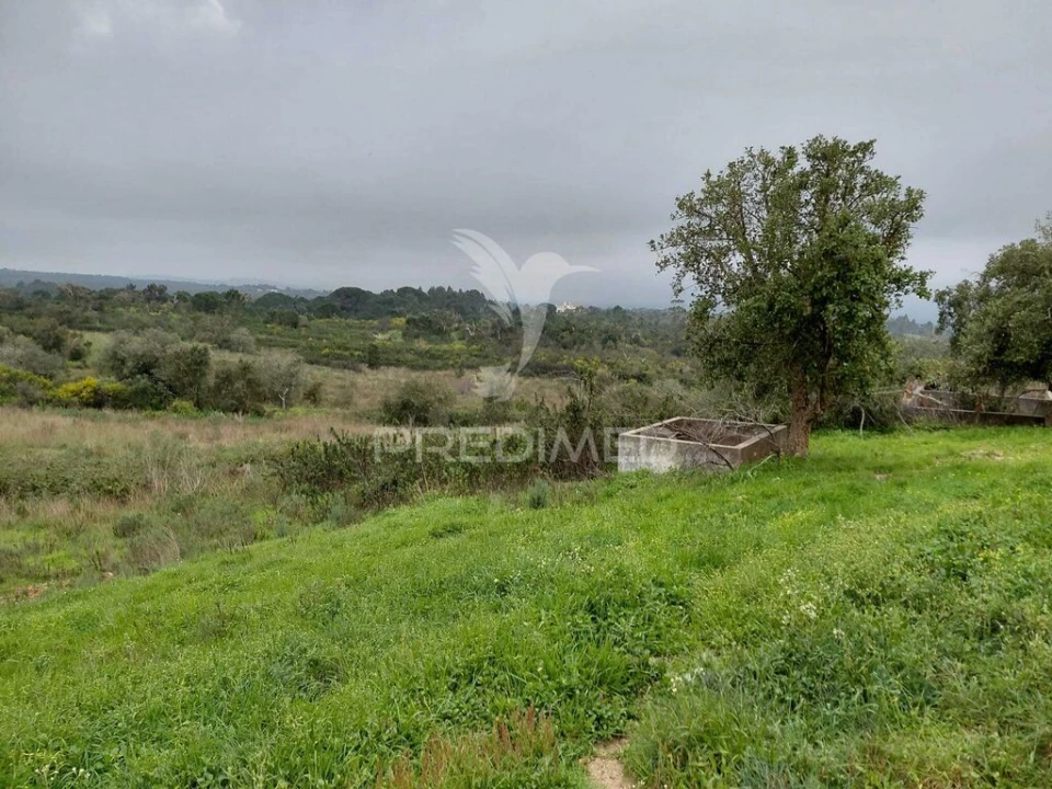 Quinta T2 para Venda em São Francisco da Serra Foto 3