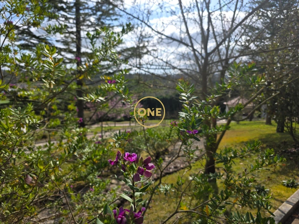 Moradia T5 para Venda em Arrimal e Mendiga Foto 81