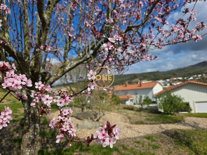 Moradia T5 para Venda em Arrimal e Mendiga Foto 6