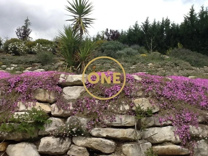 Moradia T5 para Venda em Arrimal e Mendiga Foto 101