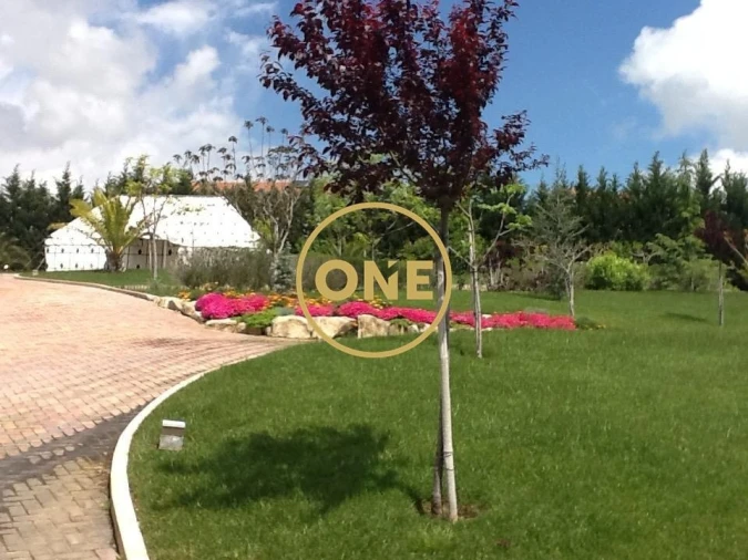 Moradia T5 para Venda em Arrimal e Mendiga Foto 97