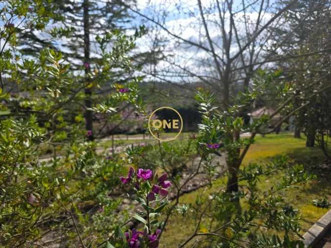 Moradia T5 para Venda em Arrimal e Mendiga Foto 8