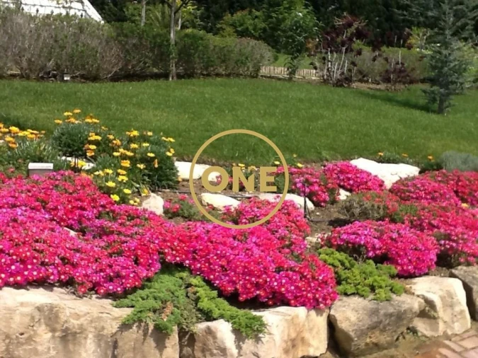 Moradia T5 para Venda em Arrimal e Mendiga Foto 85