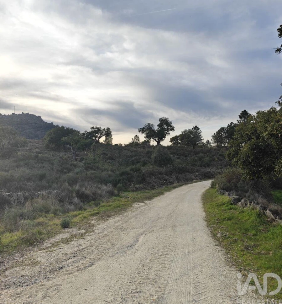 Terreno para Venda em Monsanto e Idanha-A-Velha Foto 6