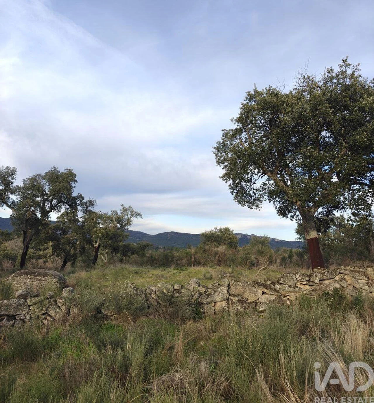 Terreno para Venda em Monsanto e Idanha-A-Velha Foto 4