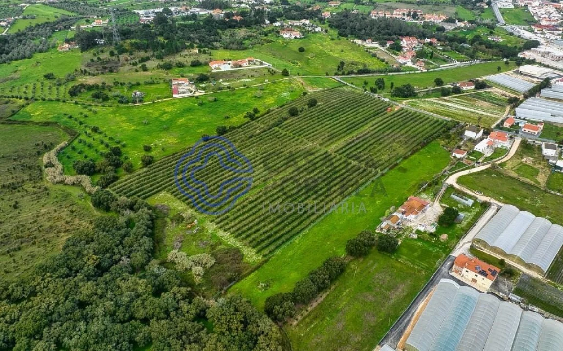 Terreno para Venda em Cartaxo e Vale da Pinta Foto 28