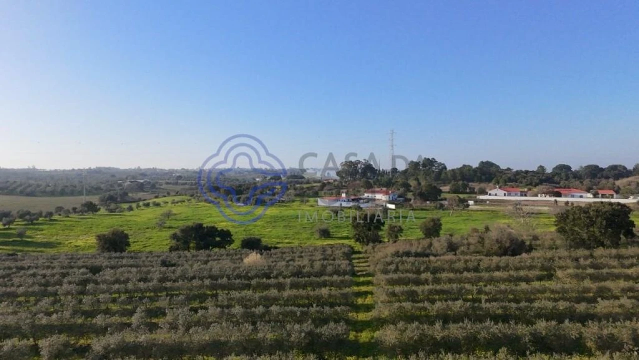 Terreno para Venda em Cartaxo e Vale da Pinta Foto 1