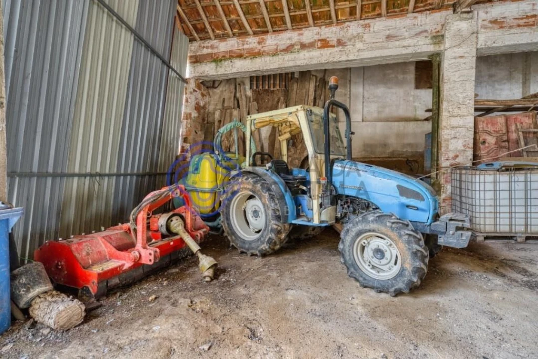 Terreno para Venda em Cartaxo e Vale da Pinta Foto 17