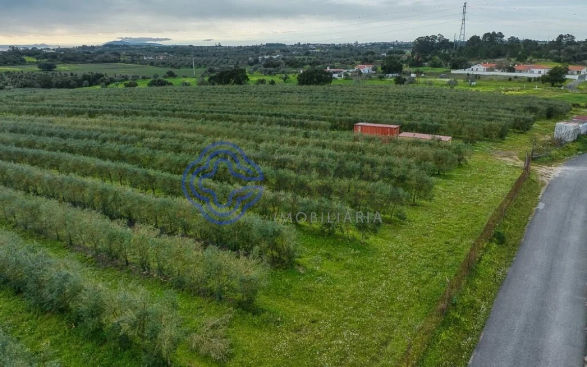 Terreno para Venda em Cartaxo e Vale da Pinta Foto 34