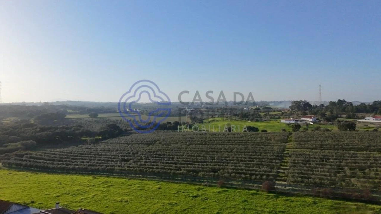 Terreno para Venda em Cartaxo e Vale da Pinta Foto 5