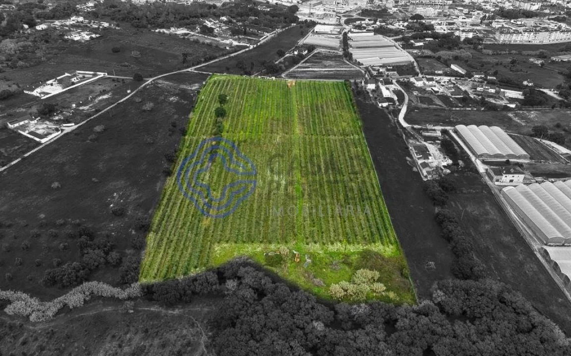 Terreno para Venda em Cartaxo e Vale da Pinta Foto 36