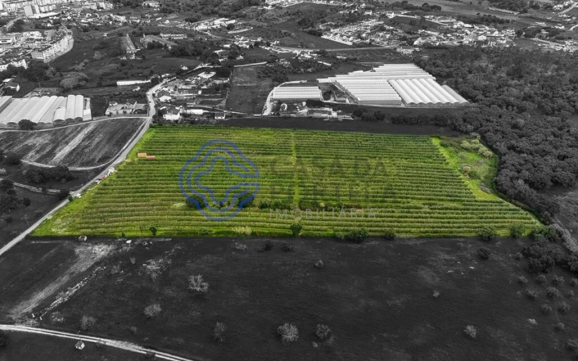 Terreno para Venda em Cartaxo e Vale da Pinta Foto 23