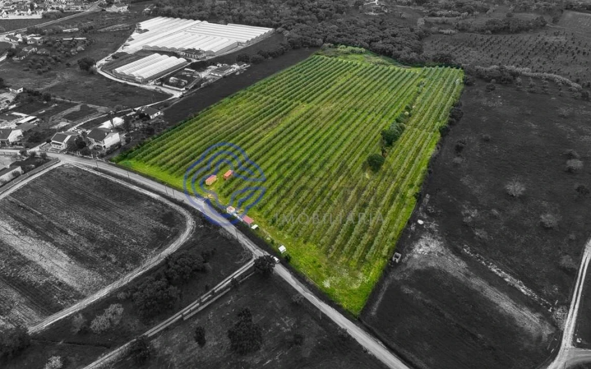 Terreno para Venda em Cartaxo e Vale da Pinta Foto 21