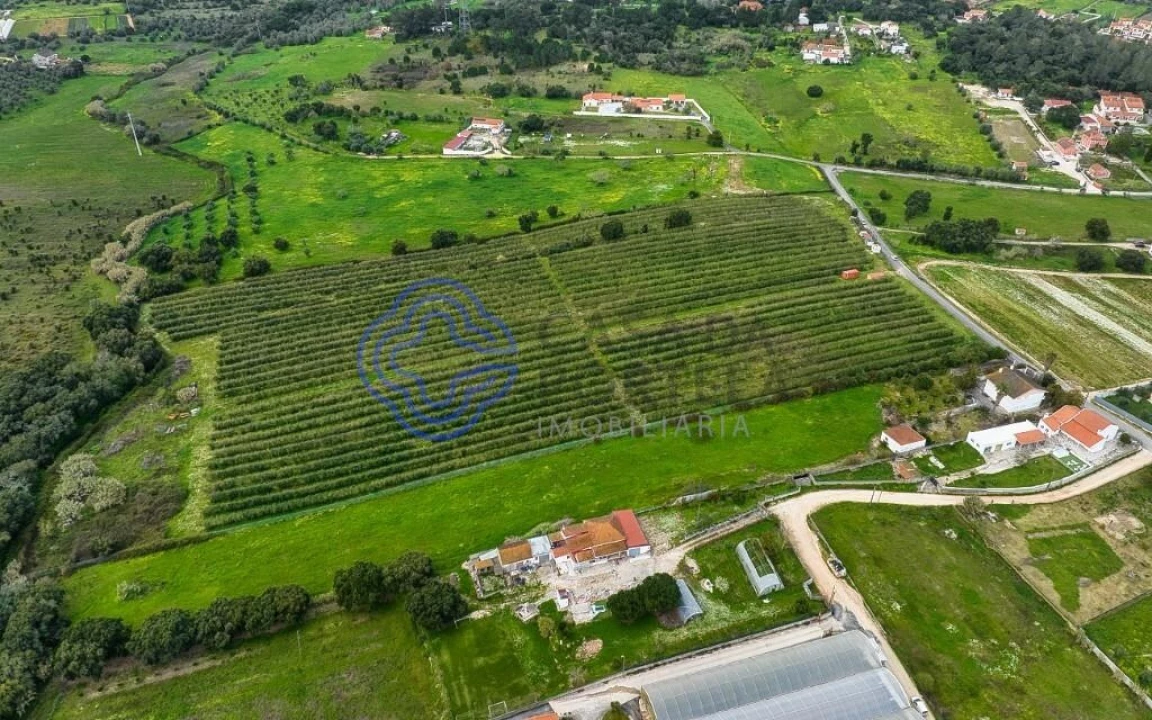 Terreno para Venda em Cartaxo e Vale da Pinta Foto 29