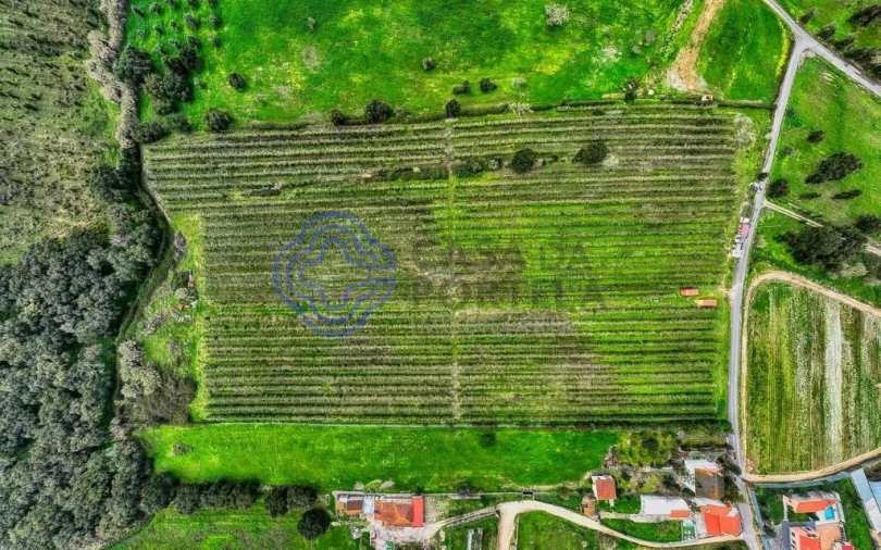 Terreno para Venda em Cartaxo e Vale da Pinta Foto 32