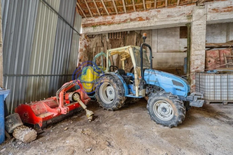 Terreno para Venda em Cartaxo e Vale da Pinta Foto 17