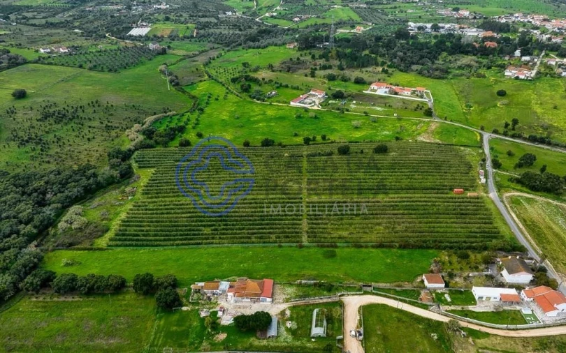 Terreno para Venda em Cartaxo e Vale da Pinta Foto 30