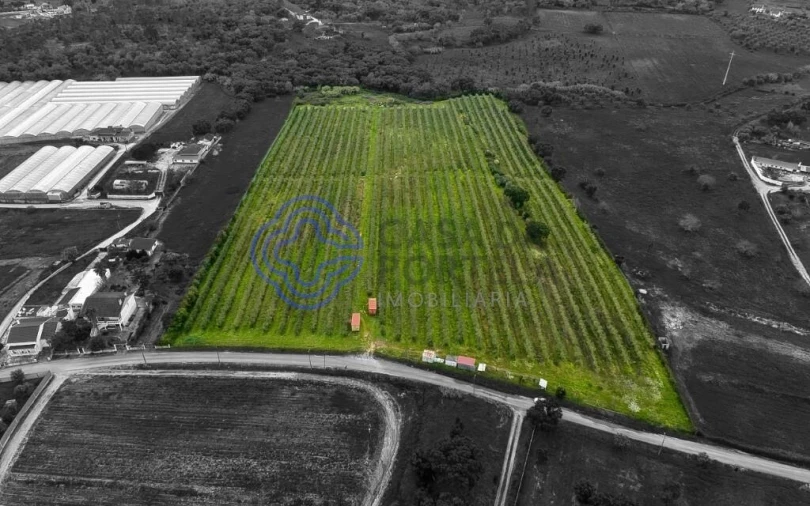 Terreno para Venda em Cartaxo e Vale da Pinta Foto 19