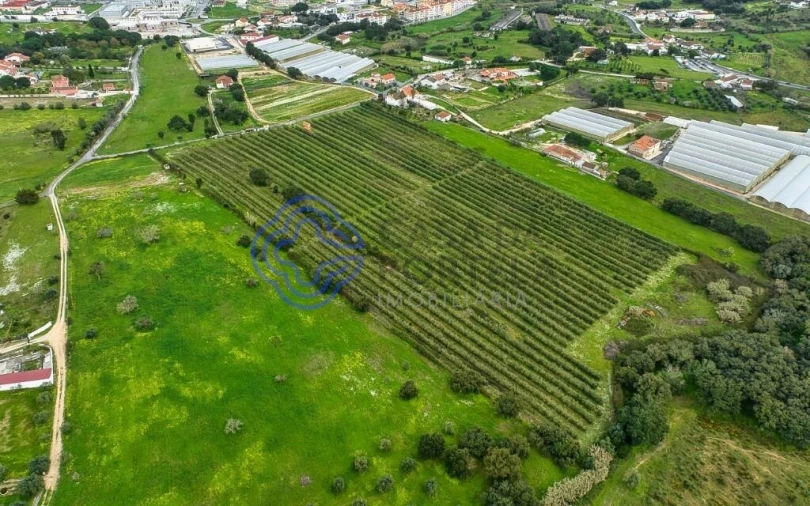 Terreno para Venda em Cartaxo e Vale da Pinta Foto 25