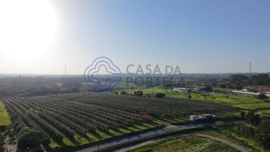 Terreno para Venda em Cartaxo e Vale da Pinta Foto 3